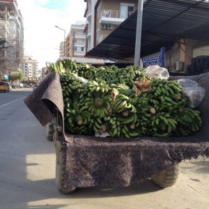 Бананы в Турции в феврале