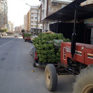 Перевозка бананов в Турции